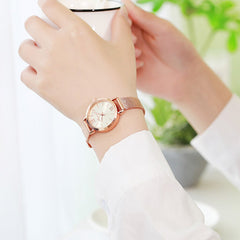Best Selling Women Watches Rose Gold Scale Dial Ladies Quartz Wristwatc Business Mesh Strap Clock Casual Gift Montre Femme@50