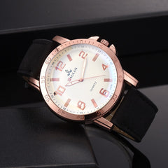 DISU Men Watch High Quality Leather Blu Ray Glass Quartz Watch new arrival in men wrist watches wristwatch mens