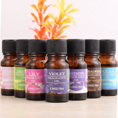 12pcs Natural Plant Extract Essential Oils Water-soluble Relieve Stress Humidifier Fragrance Lamp Air Freshening Aromatherapy