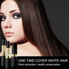 New Portable Lipstick Design Hair Dye One-Time White Hair Women Hairline Black/Brown Color Dyeing Pen Stick Chalk Tools TSLM1