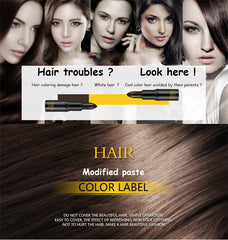 1PCS Fast One-off Hair Color Pen Cover White Hair Black/Brown Temporary Hair Dye Cream Mild DIY Styling Stick Dropship TSLM2