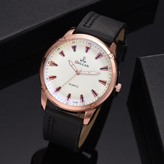 Men Wristwatch Quartz High Quality Leather Blu Ray Glass Watch Man Watches Mens 2019 Men Wristwatch Clock relogio masculino