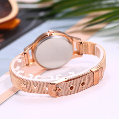 Casual Women Watches Simple  Dial Ladies  Quartz Wristwatch High Quality Rose Gold Mesh Belt Strap Clock Montre Femme@50