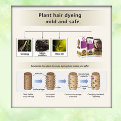 15mis Moisturizing hair dye cream 5pcs/lot Natural organic temporary Coffee hair dye shampoo for woman 5 Colors Hiar Shampoo